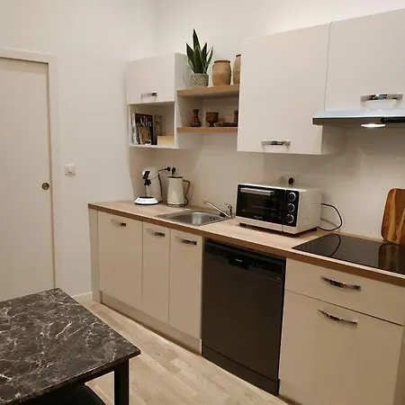 公寓 Le Du Chateau 克利松