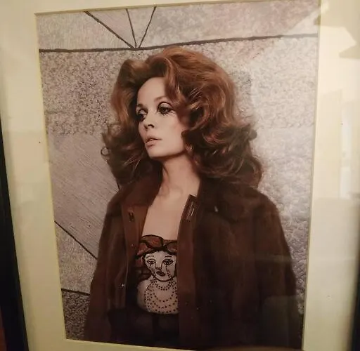 公寓 Le Du Chateau 克利松